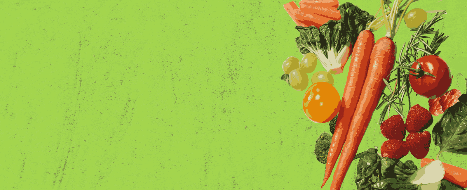 header-img-2.png